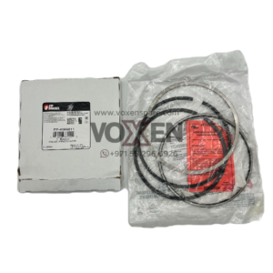 FP-4089811 Heavy Duty Engine Piston Ring Set for Cummins NT855, NTA855, N14, K19, VTA1710 Diesel Engines